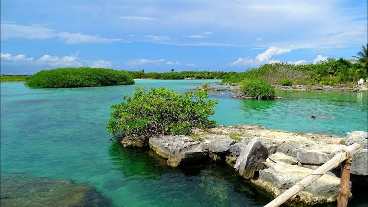Yal-Kú + Cenote Xtun Escape
